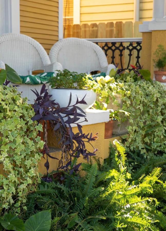 Auld Sweet Olive Bed And Breakfast 뉴올리언스 외부 사진