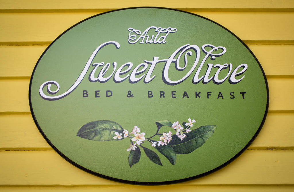 Auld Sweet Olive Bed And Breakfast 뉴올리언스 외부 사진